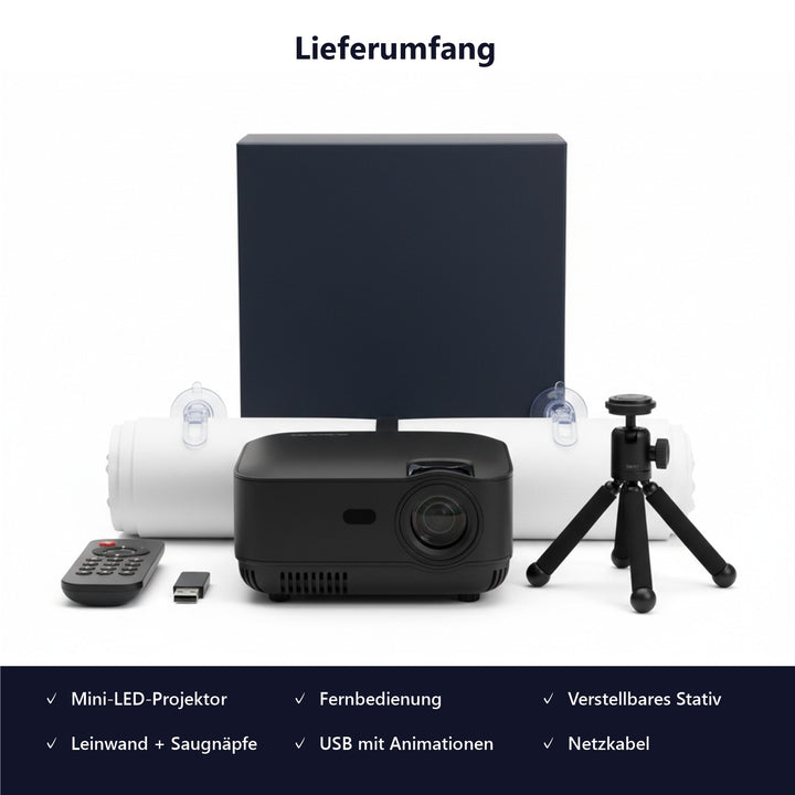 Alles, was du brauchst, in einer Box